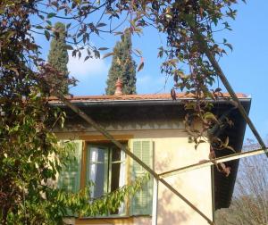 Les Cypres photo 9