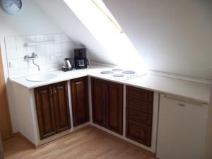 Duplex Apartment room in Tisá 488
