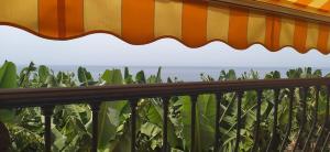 Caracol Trail Mountain La Palma - junto a Trbol