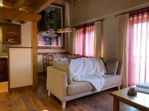 2 Bedroom Duplex Apartment In La Molina - Toses