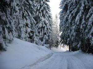 Apartment in Fresach near Ski Slopes & Lake