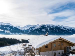 Apartment in Hollersbach near Ski Lift