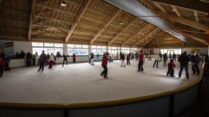 Appartements Appartement TROUMOUSE Residence Les 3 Cirques : photos des chambres