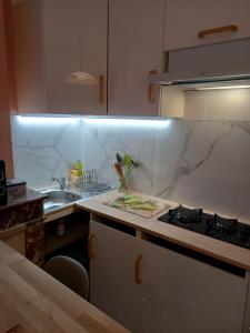 LOCCITANE appartement climatisé centre ville