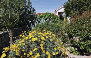 Holiday Home Drvenik Mali 07