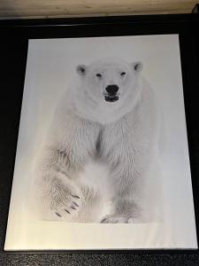 Chalets chalet de l ours : photos des chambres