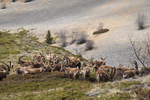 Hôtel Le Mont Barral