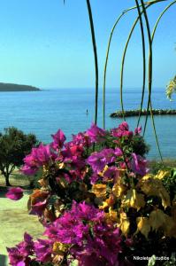 Nikoleta's Studios Paros Greece