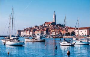 Awesome Apartment In Rovinj With 1 Bedrooms And Wifi