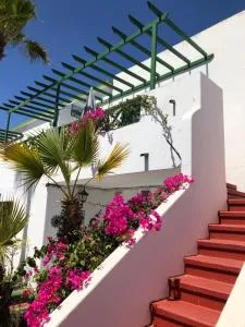 Clara - Los Pocillos