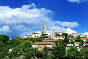 Villa Visnjan Residence