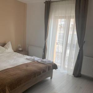 CENTRAL VIEW Craiova