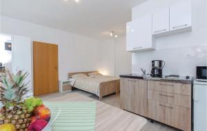 Gorgeous Studio In Kukuljanovo With Kitchenette 