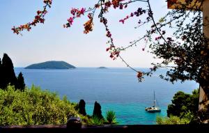 Nemesis Skopelos Greece