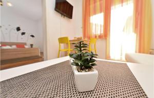 Amazing apartment in Zadar with WiFi and 1 Bedrooms