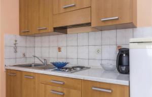 Amazing Apartment In Liznjan With Kitchen