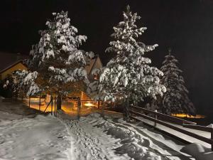 Holiday house Zmajevac (Tornik, Zlatibor)