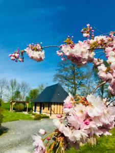 Maisons de vacances GITE 