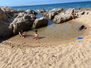 Appartements T2 - sanguinaires - Superbe vue mer - proche centre ville : photos des chambres