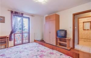 OneBedroom Apartment in Valbandon