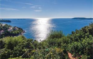 Apartment Zaton with Sea View 284