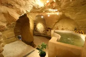 Le Mas de la Roche - Font-de-Barral