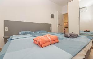 Cozy Apartment In Brodarica With Wifi