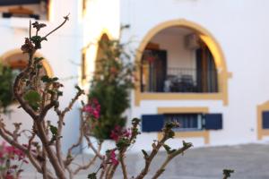 Theofilos Appartements Kythira Greece