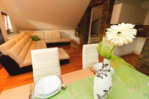 Apartments Bohinjskih 7