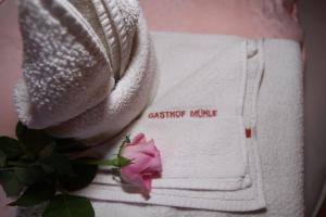 Gasthof zur Mühle