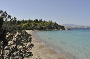 Treehouse Holiday Homes Argolida Greece