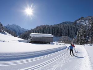 Apartment in Mayrhofen near Ski Lifts