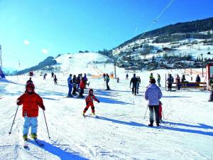 Apartment Walchen near Ski Slopes