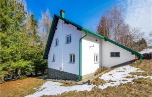 Nice Home In Begovo Razdolje With Wifi