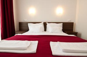 Double Room room in Hotel Hyperion