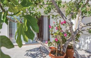 Two-Bedroom Apartment In Klek