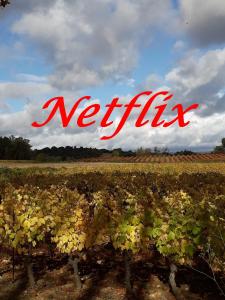 L OCCITANE appartement climatisé centre ville wifi netflix inclus