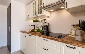 Amazing Apartment In Veprinac With Wifi