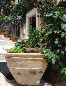 Garnì B&B La Rua-Pescocostanzo