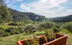 Maisons de vacances Stunning home in Roquebrun with 2 Bedrooms and WiFi : photos des chambres