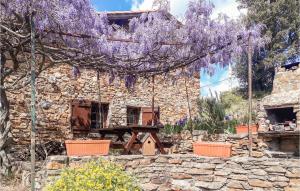 Maisons de vacances Stunning home in Roquebrun with 2 Bedrooms and WiFi : photos des chambres