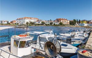 Two-Bedroom Apartment In Medulin