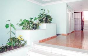 2 Bedroom Cozy Apartment In Torrevieja