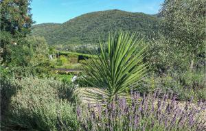 Maisons de vacances Beautiful Home In Le Poujol Sur Orb With 2 Bedrooms, Private Swimming Pool And Outdoor Swimming Pool : photos des chambres