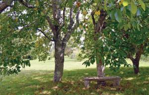 1 Bedroom Gorgeous Home In Tregunc