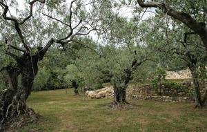 Gorgeous Home In Fayence With Wifi