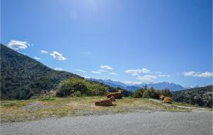 Maisons de vacances Nice Home In Morosaglia With Kitchen : Maison de Vacances 4 Chambres