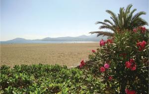 Gorgeous Apartment In Argeles Sur Mer