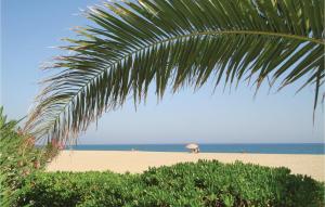 Gorgeous Apartment In Argeles Sur Mer