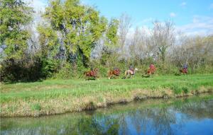 Maisons de vacances Stunning home in Aigues-Mortes with Outdoor swimming pool, WiFi and 3 Bedrooms : photos des chambres